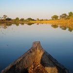 Okavango Delta